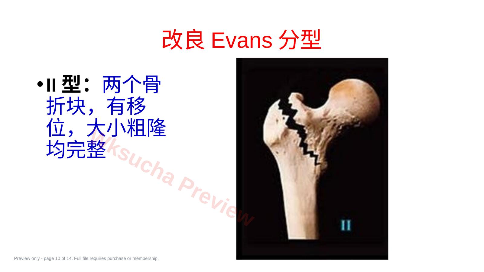 预览第 10 页