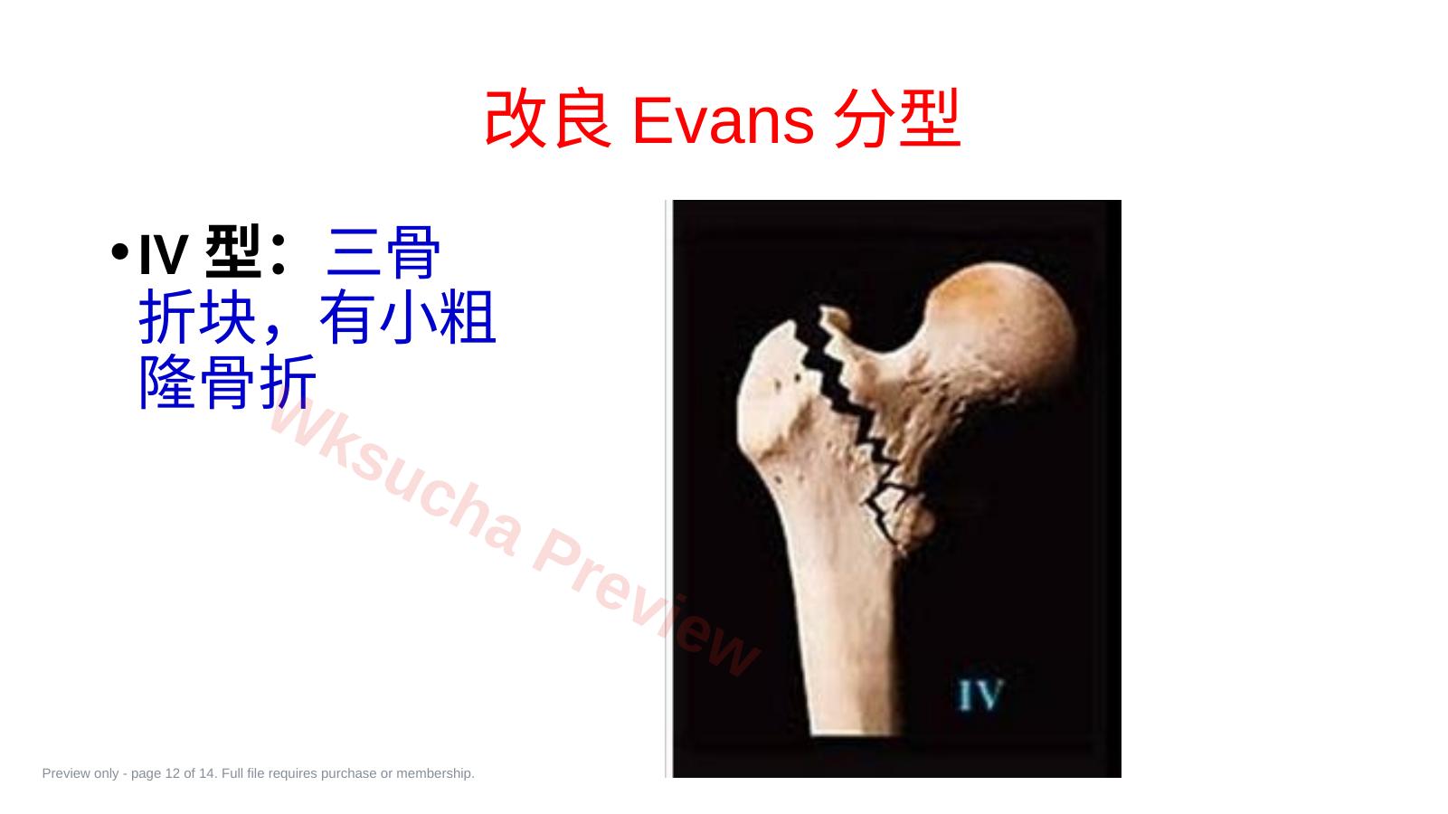 预览第 12 页