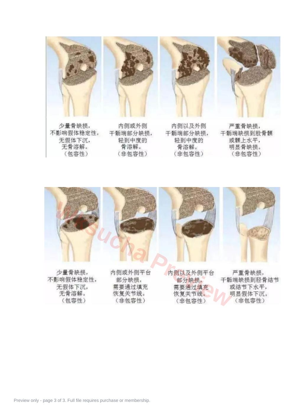 预览第 3 页