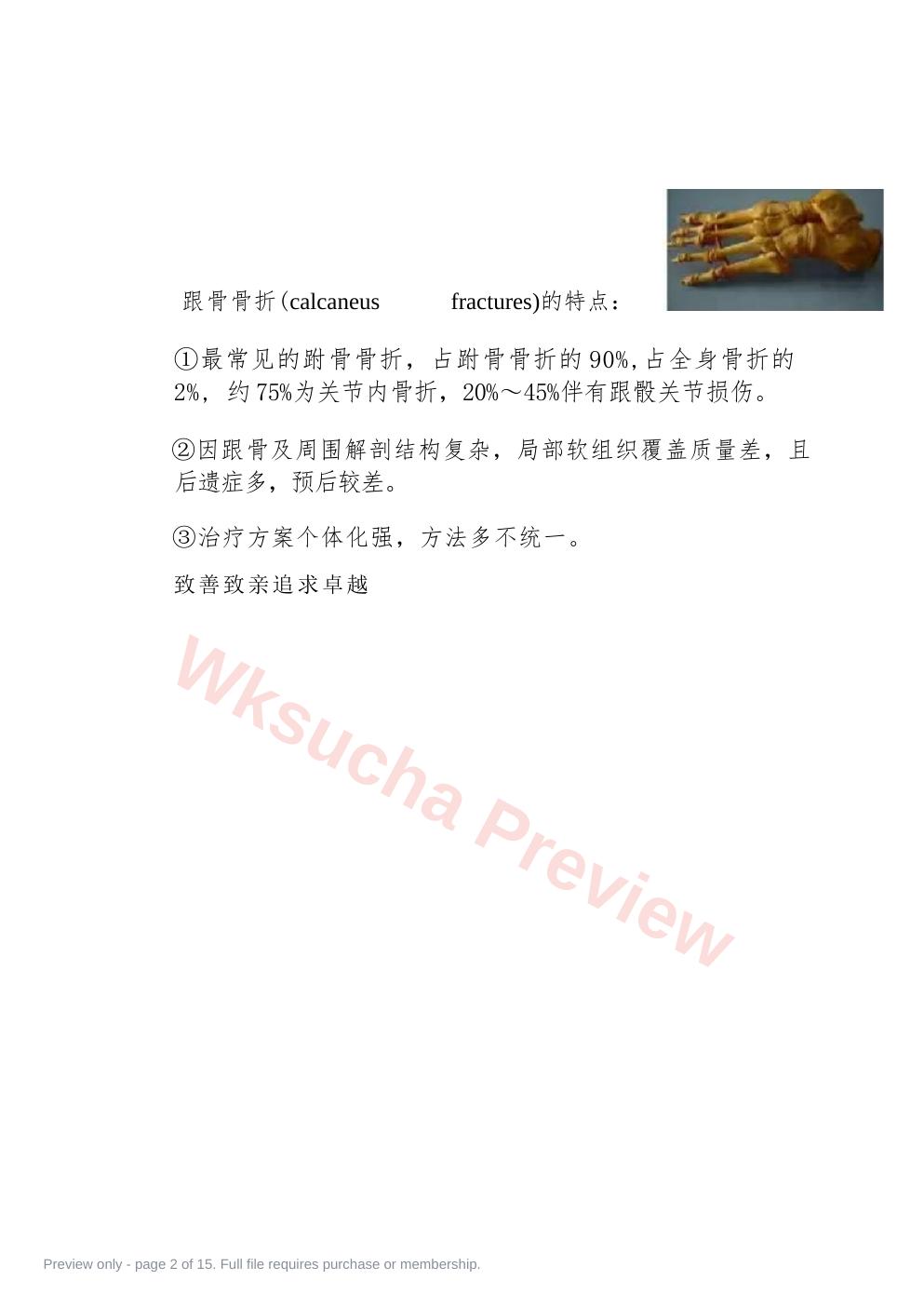 预览第 2 页