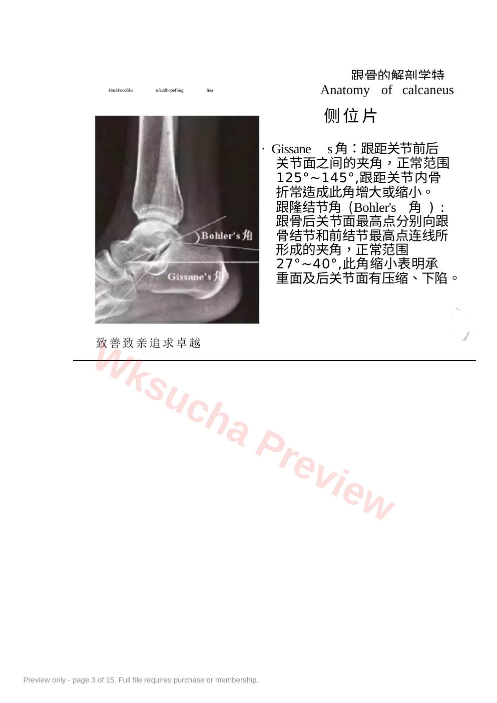 预览第 3 页
