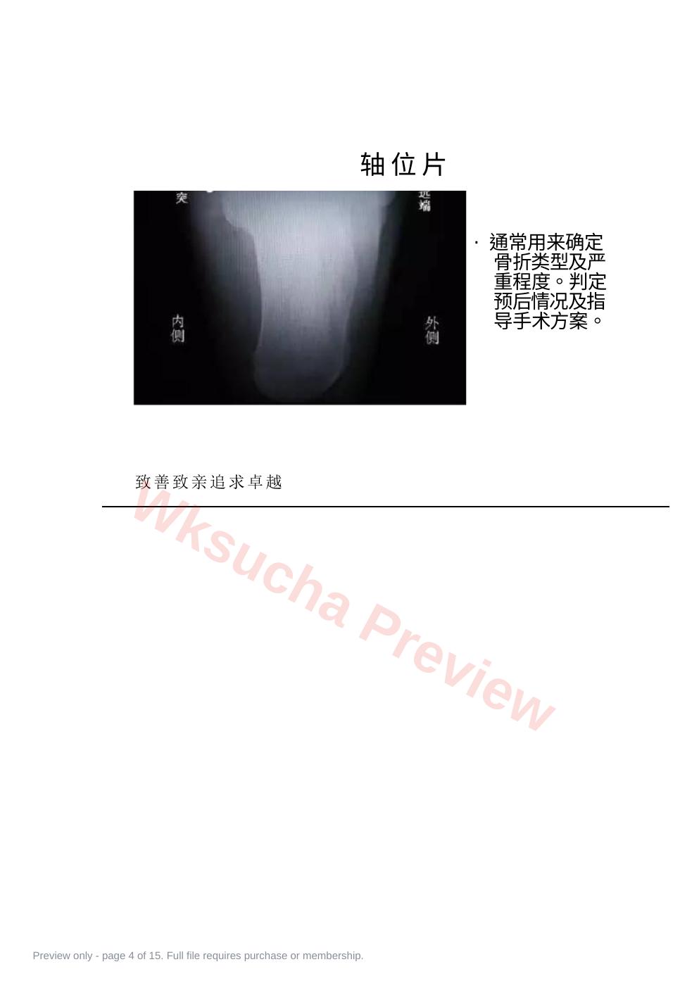 预览第 4 页