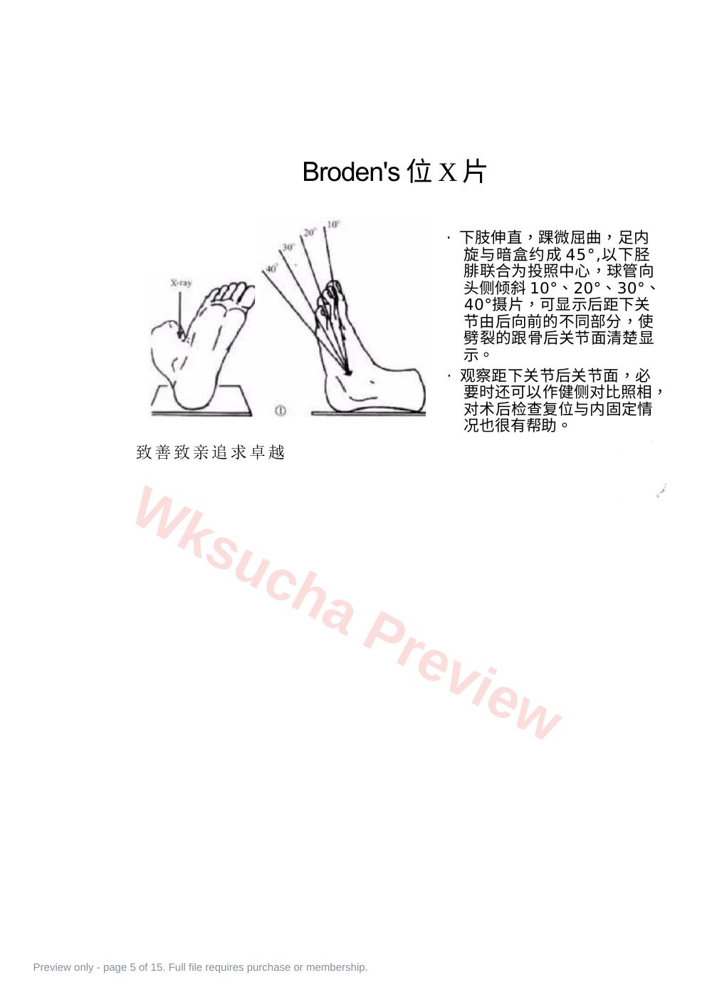 预览第 5 页