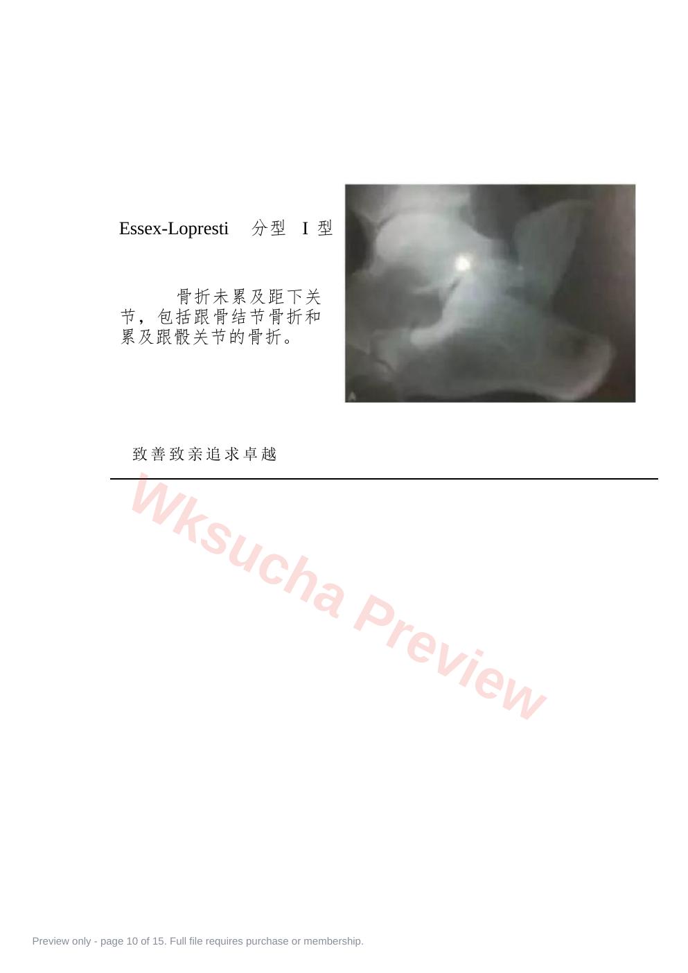 预览第 10 页