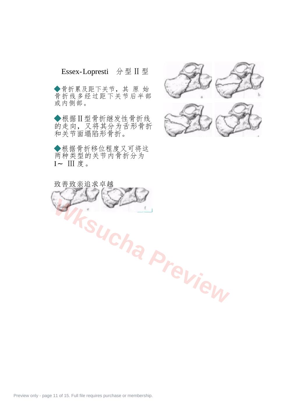预览第 11 页