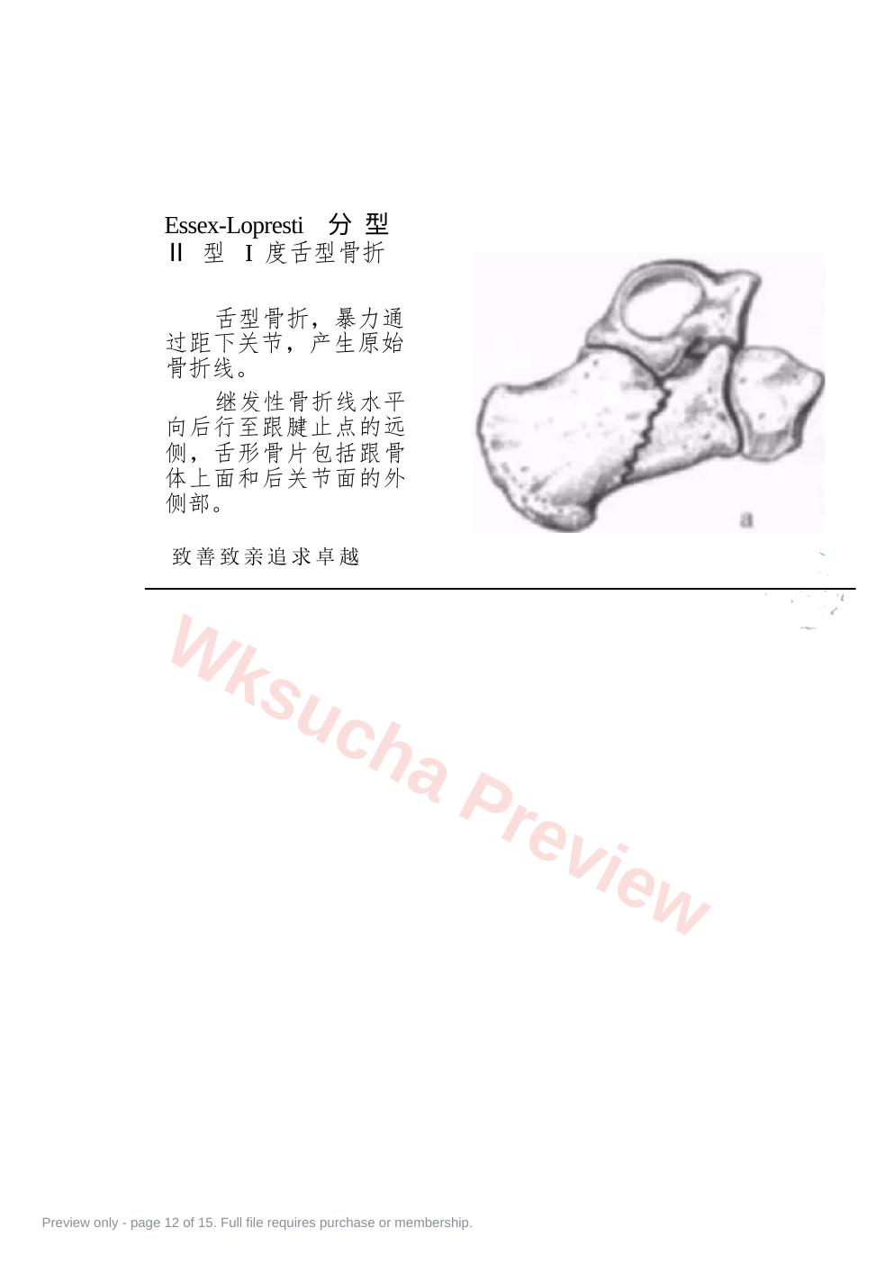 预览第 12 页