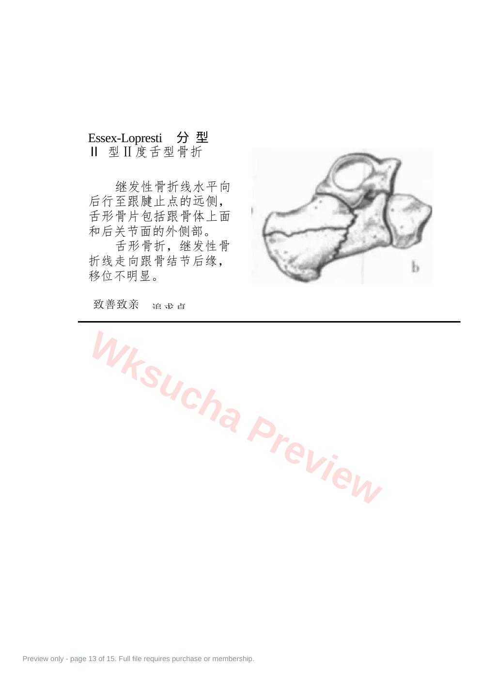预览第 13 页