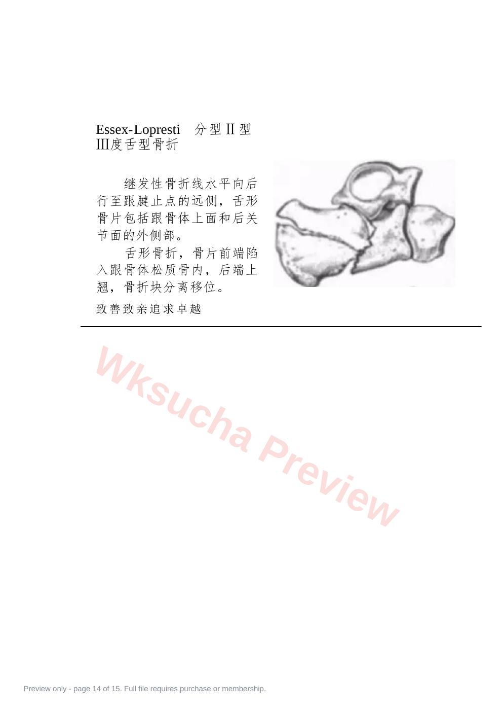预览第 14 页