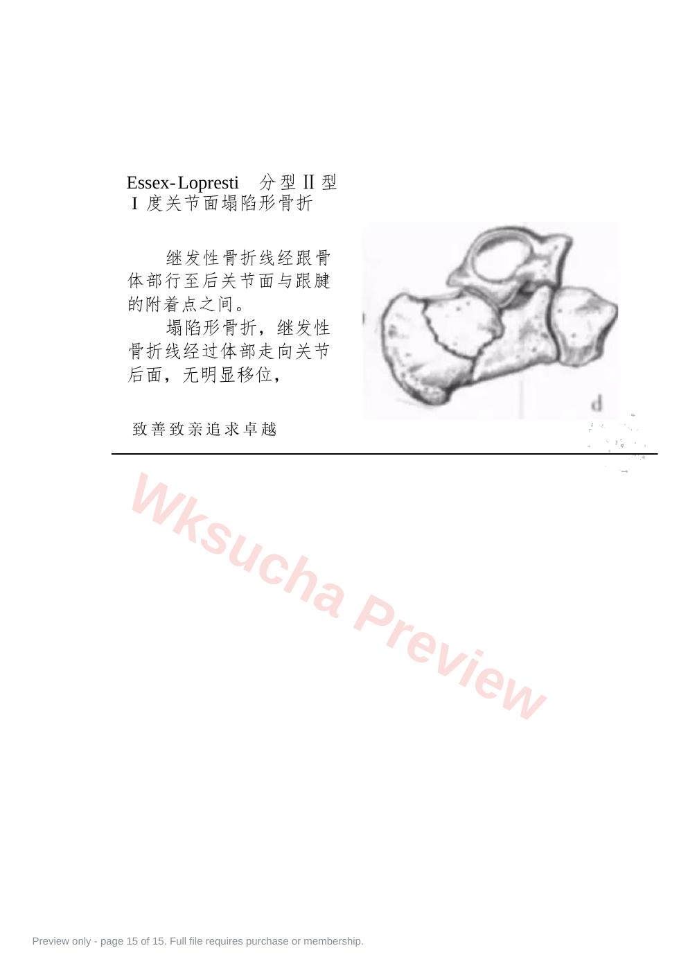 预览第 15 页