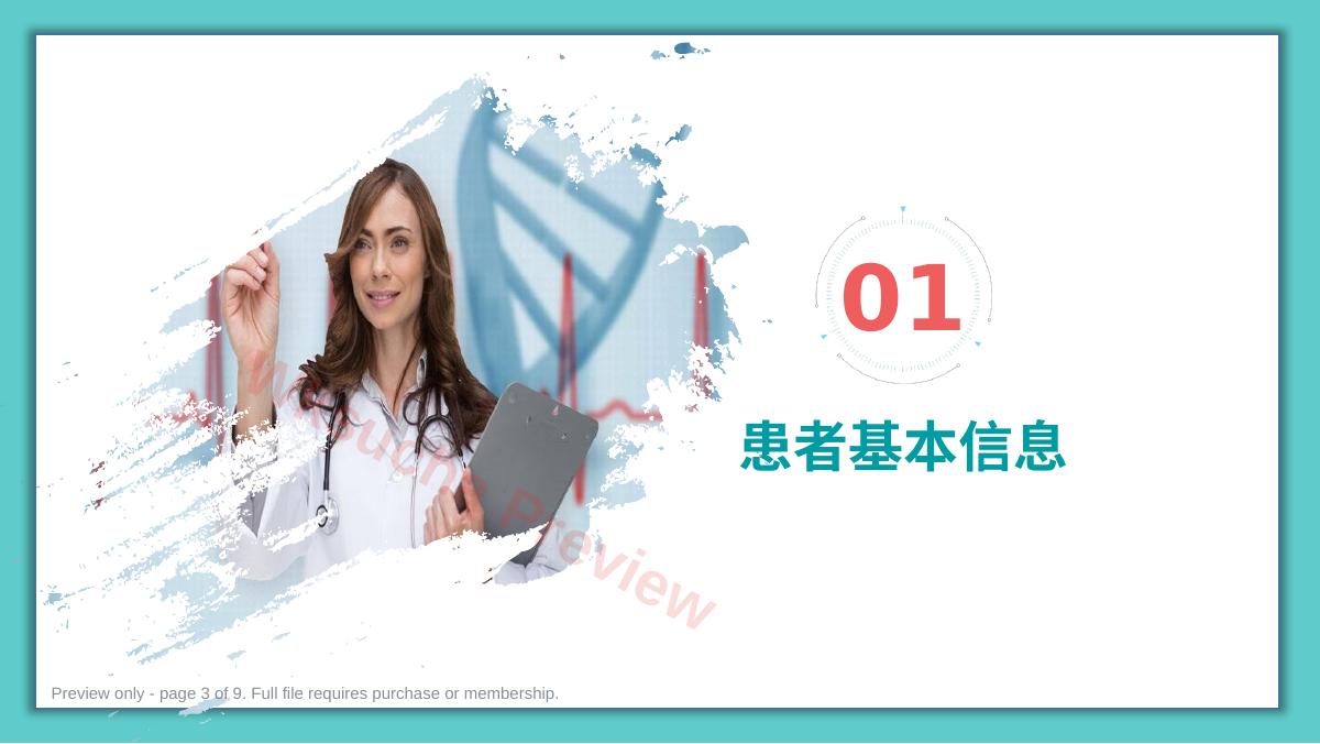预览第 3 页