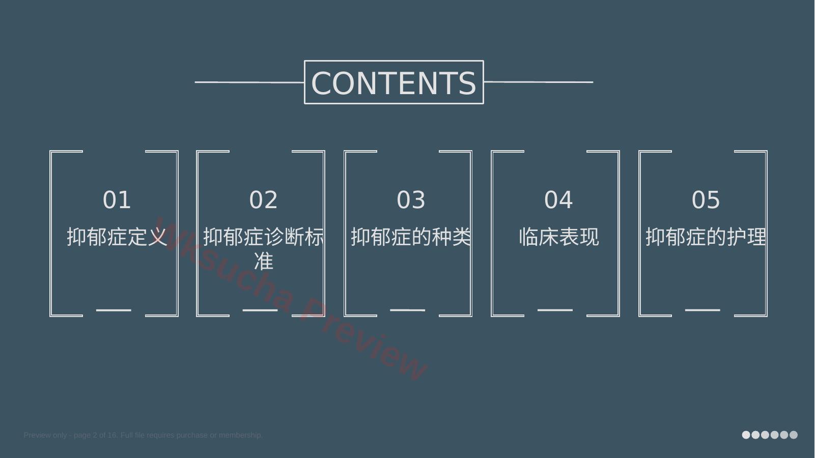 预览第 2 页