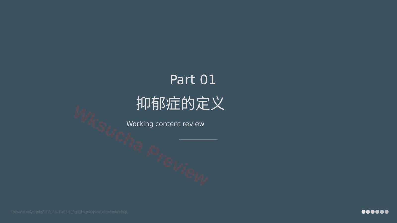 预览第 3 页