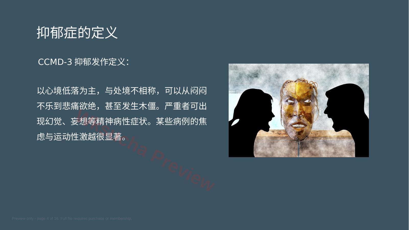 预览第 4 页