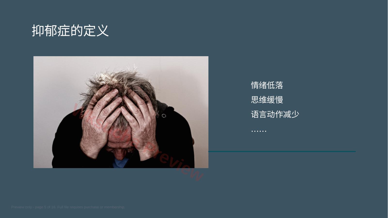 预览第 5 页