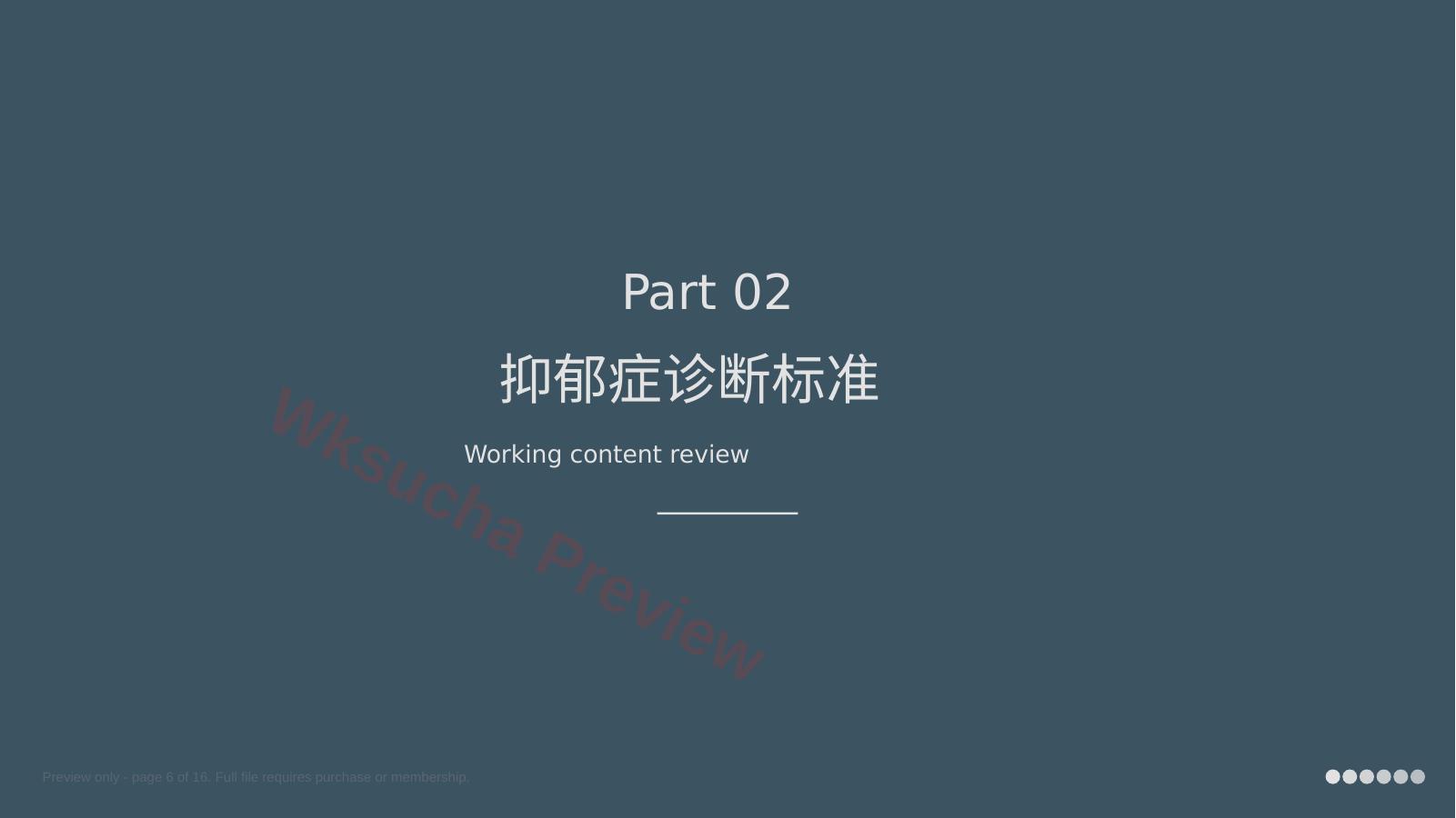 预览第 6 页