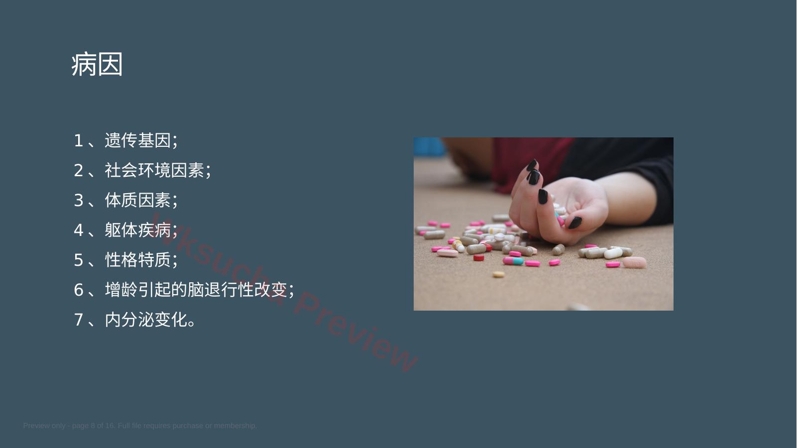 预览第 8 页