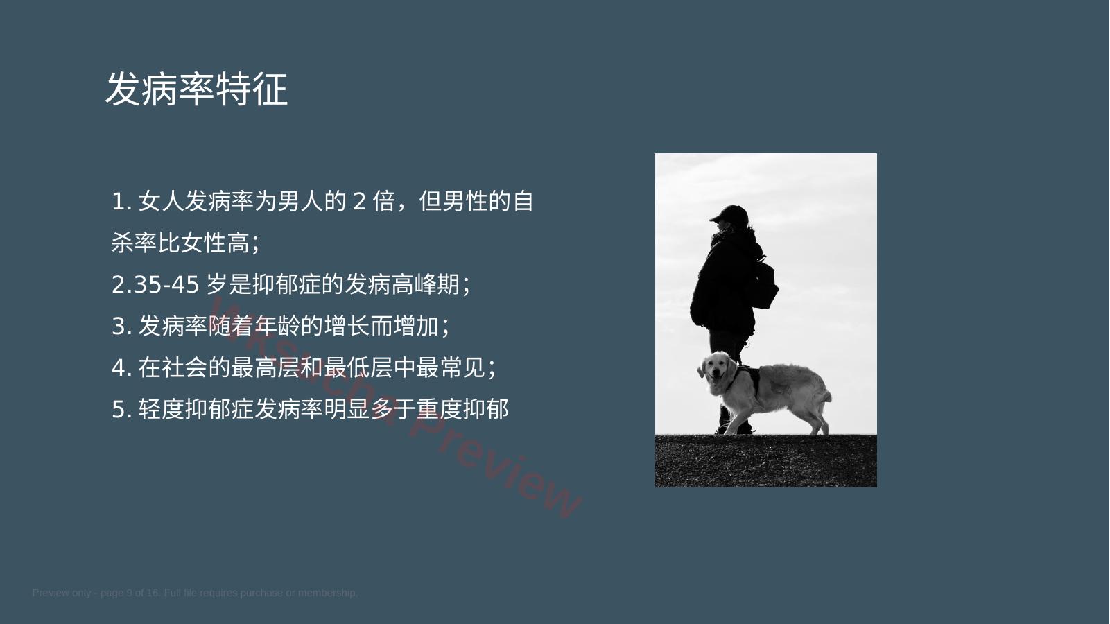 预览第 9 页