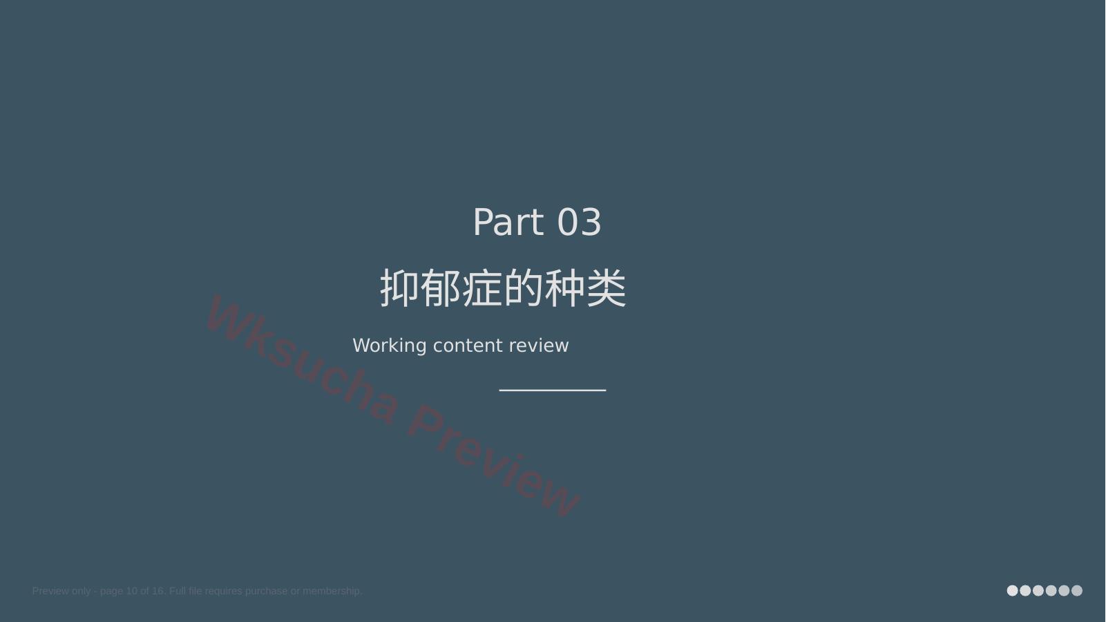 预览第 10 页
