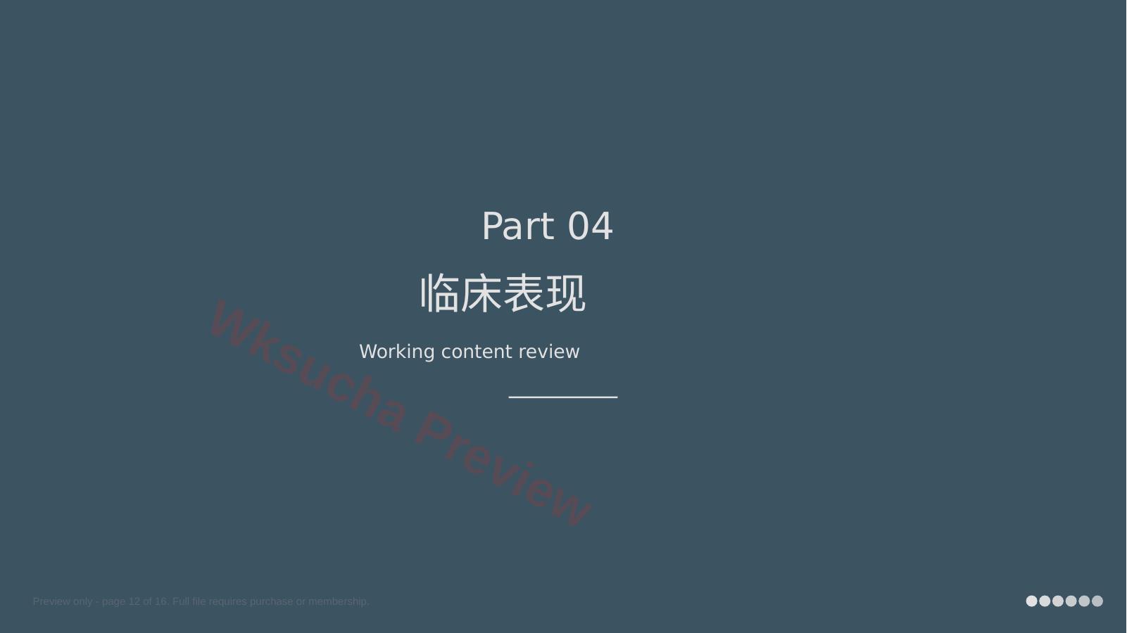 预览第 12 页