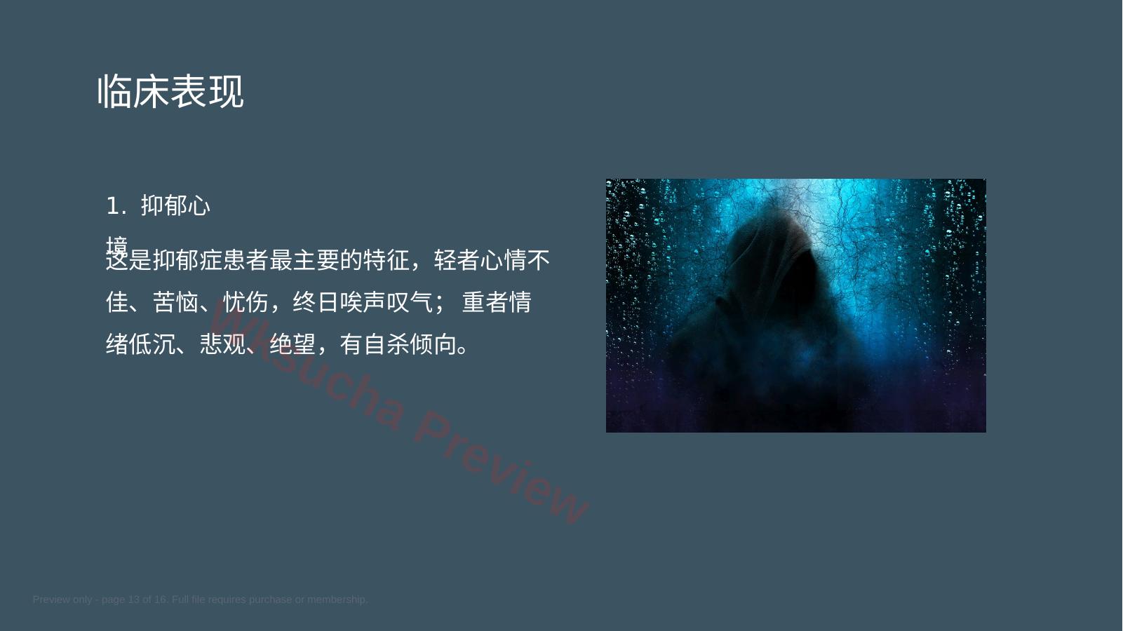 预览第 13 页