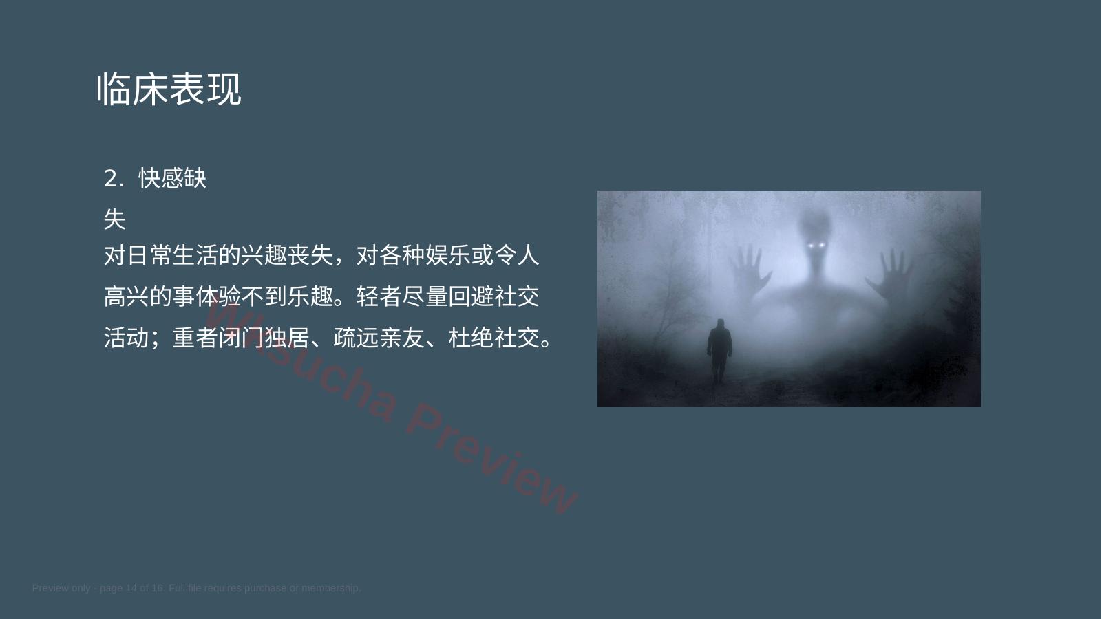 预览第 14 页