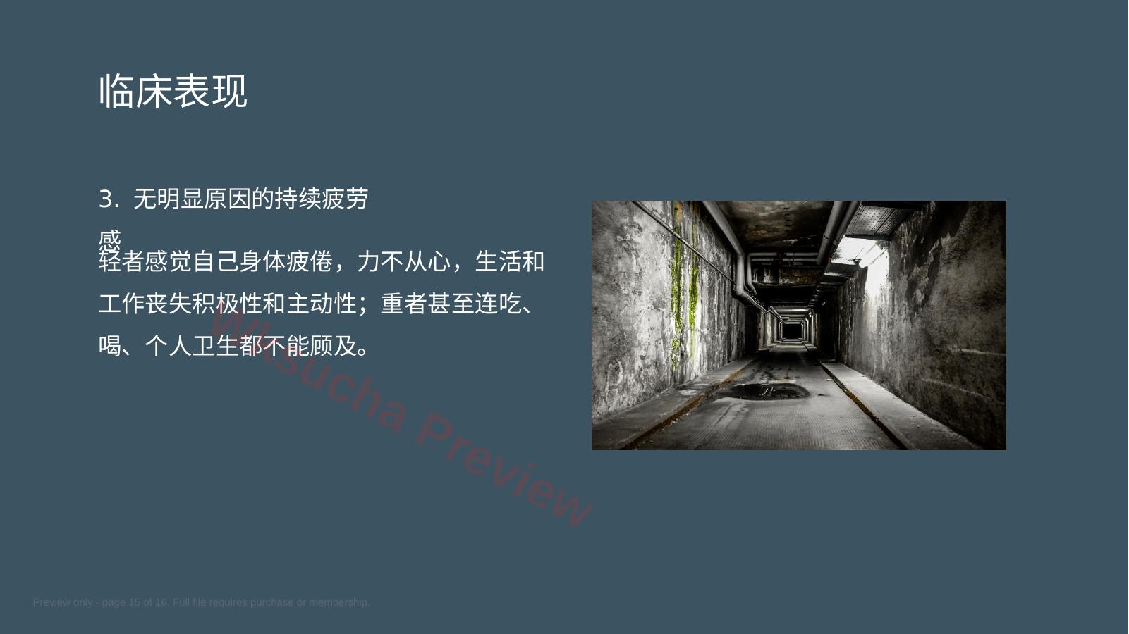 预览第 15 页
