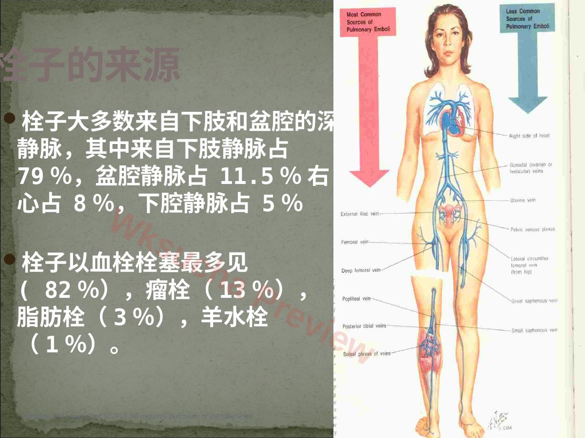 预览第 6 页