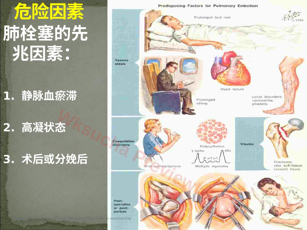预览第 7 页