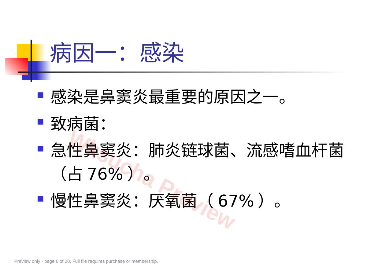 预览第 6 页