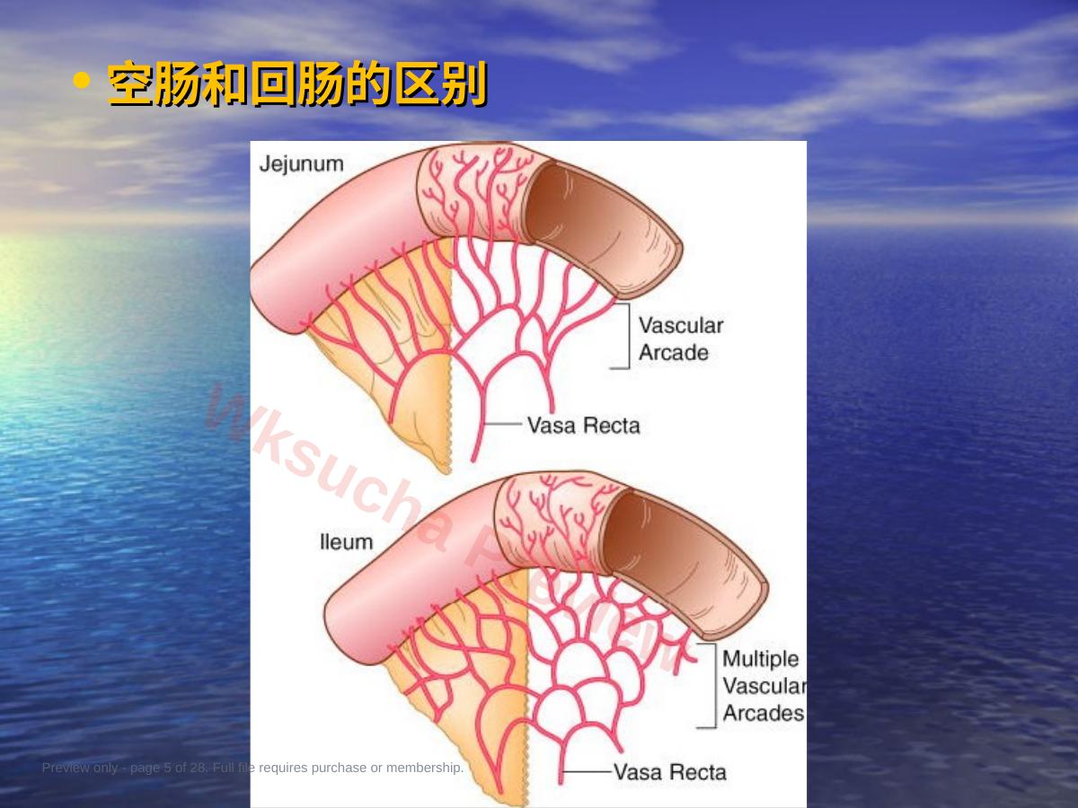 预览第 5 页