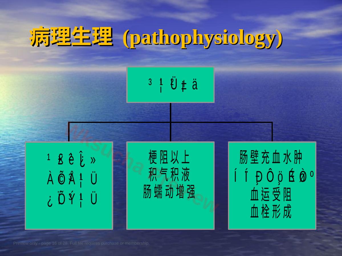 预览第 16 页