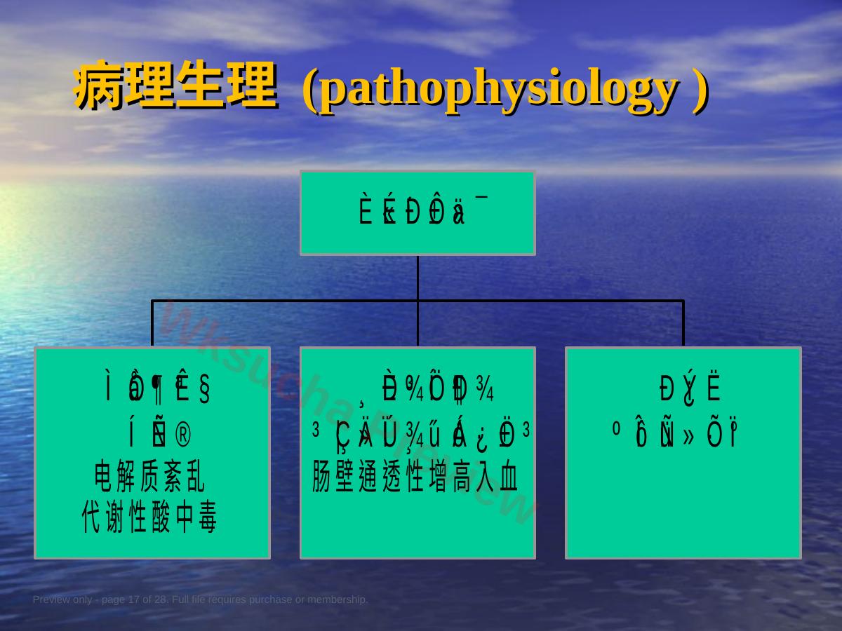 预览第 17 页