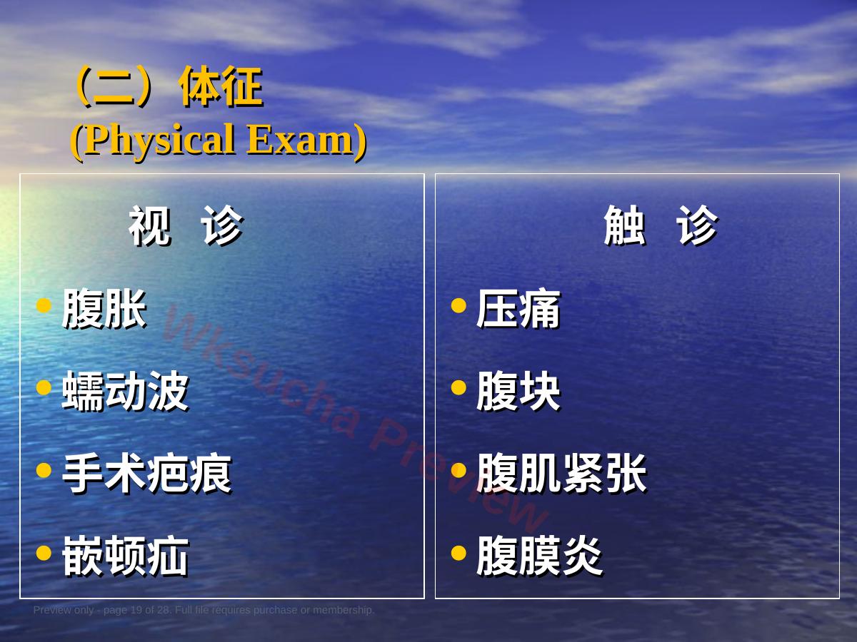预览第 19 页