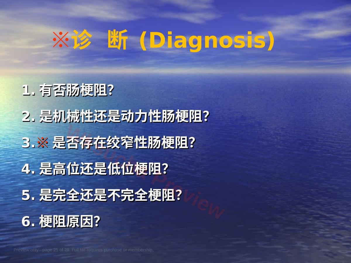 预览第 25 页