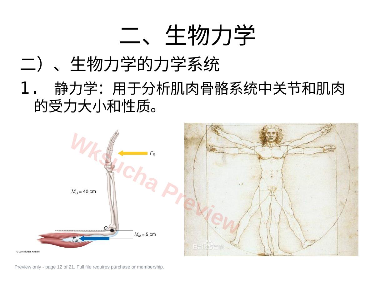 预览第 12 页