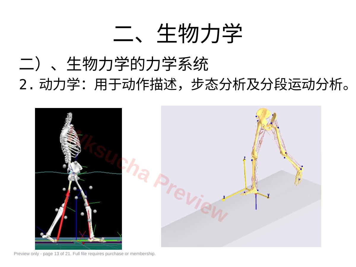 预览第 13 页