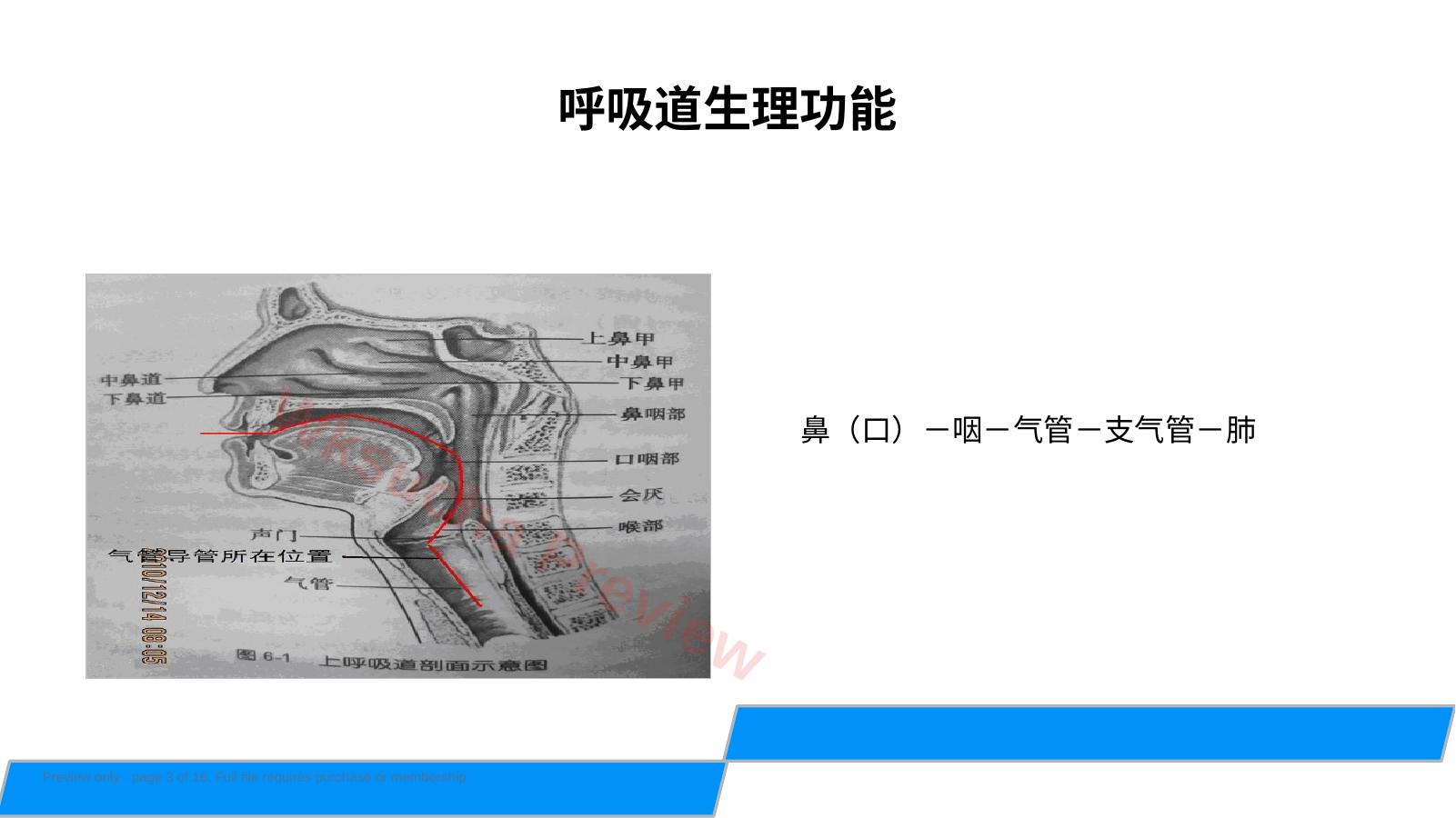预览第 3 页