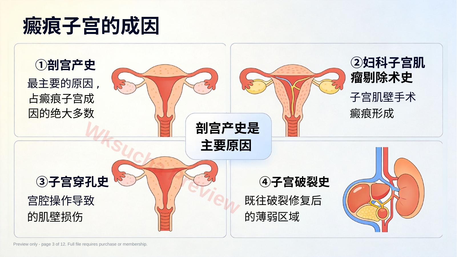 预览第 3 页