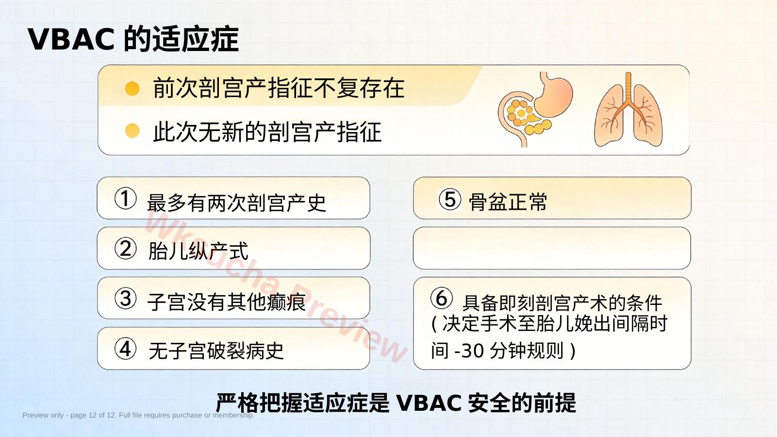 预览第 12 页