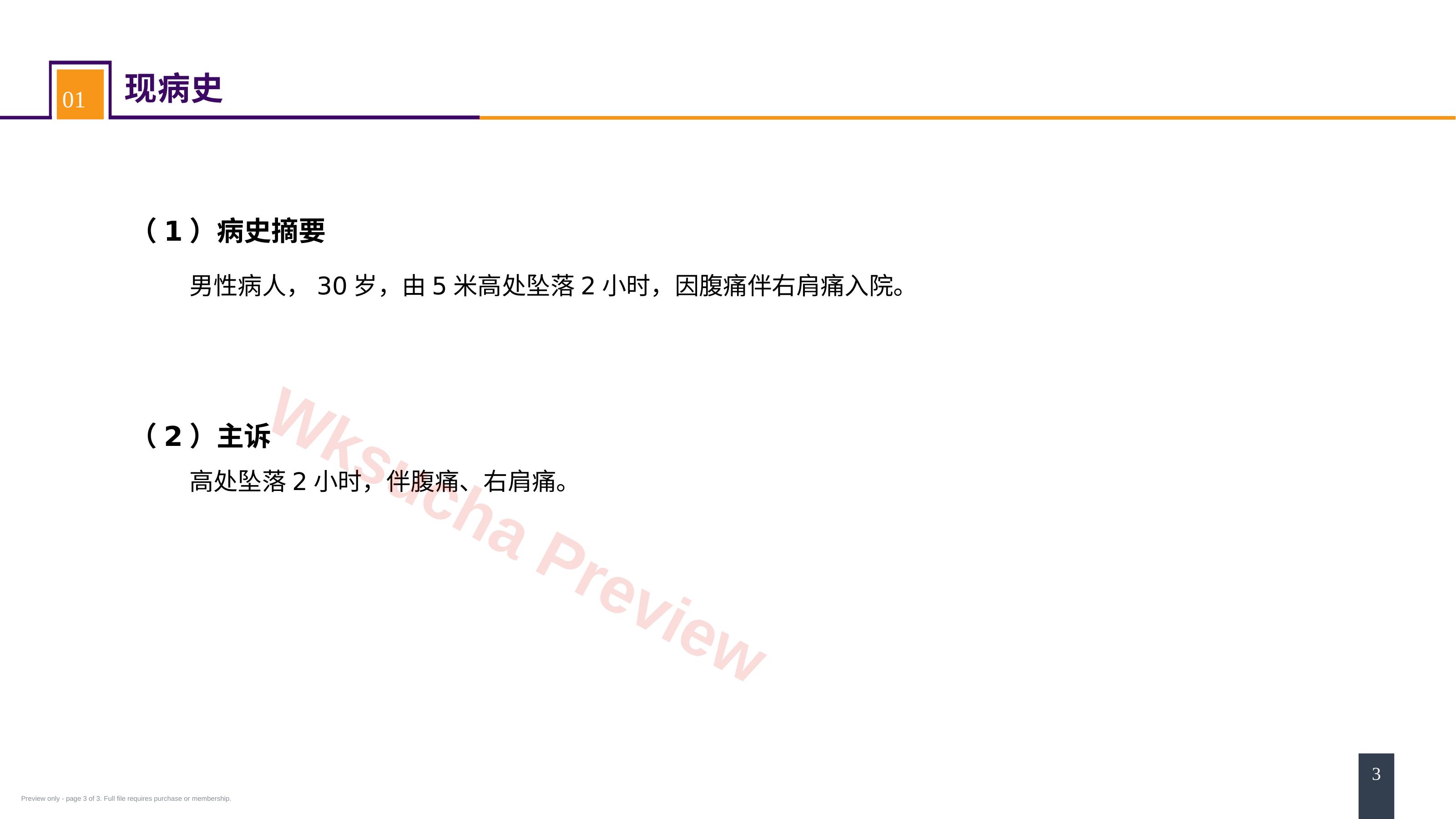 预览第 3 页
