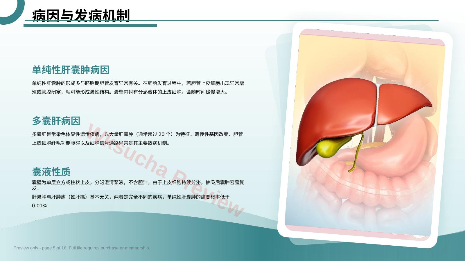 预览第 5 页