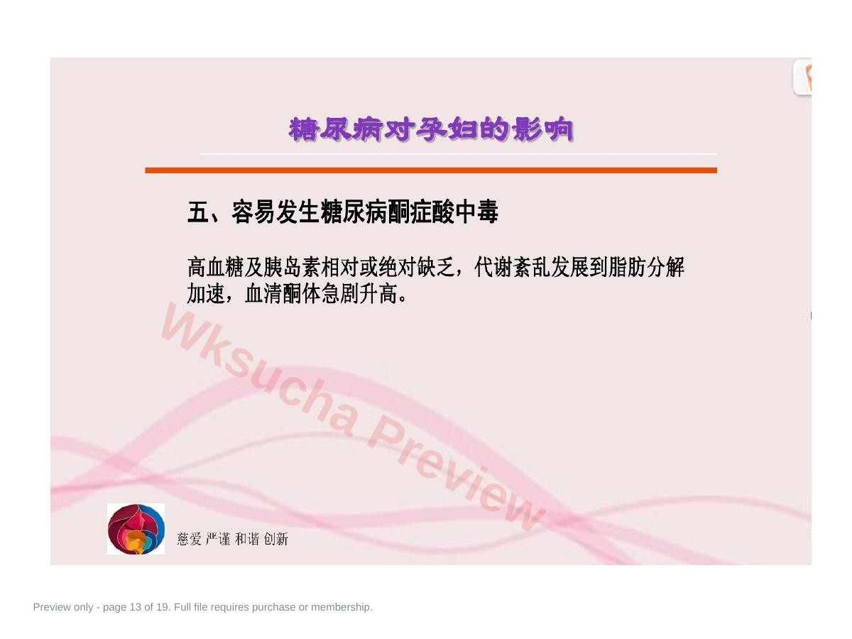 预览第 13 页