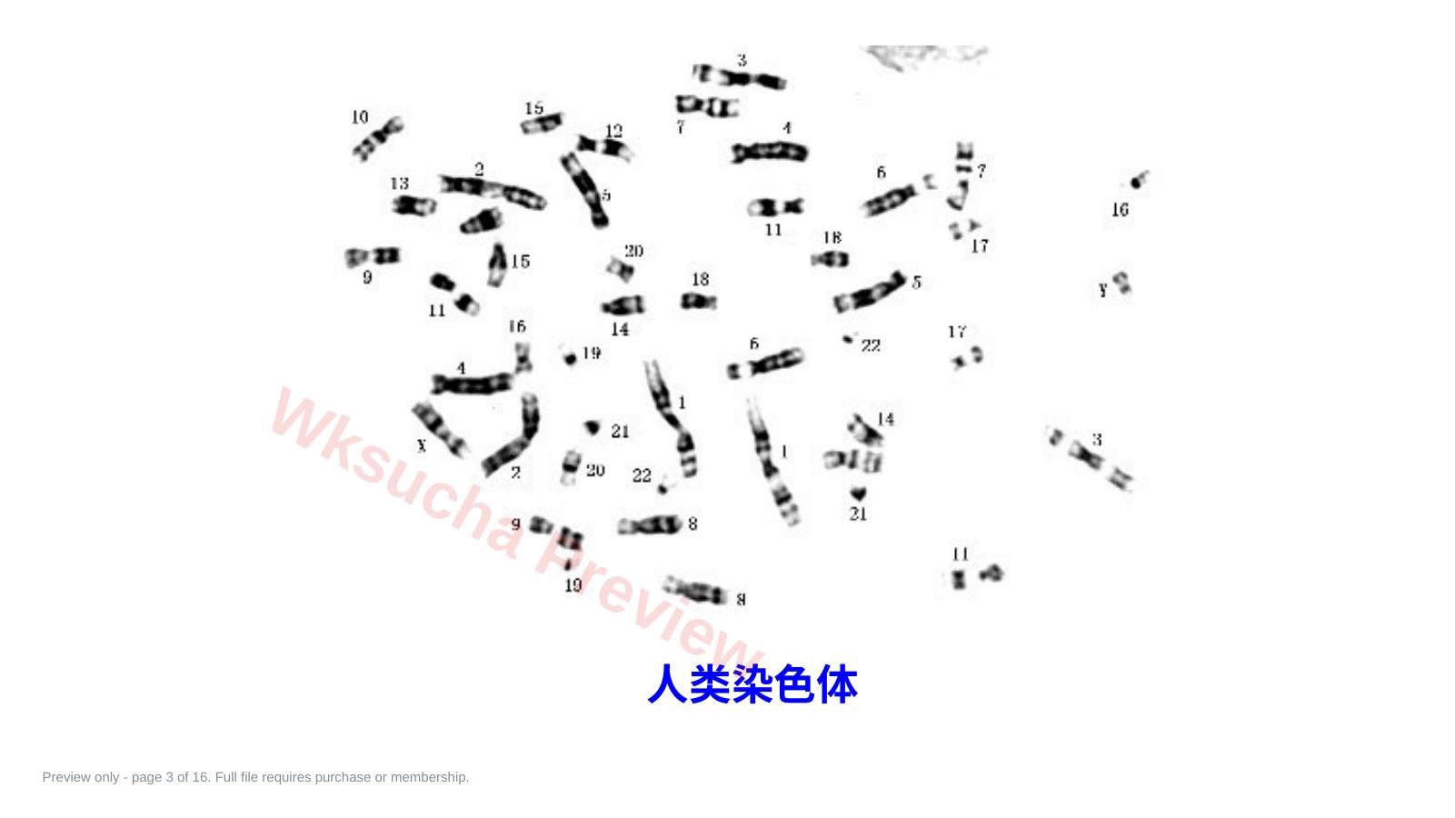 预览第 3 页