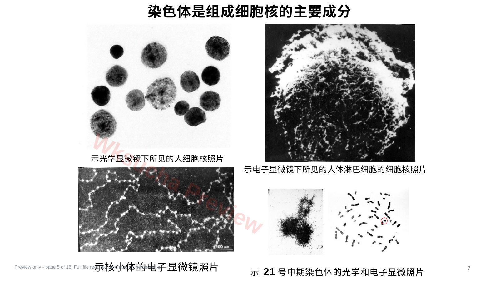 预览第 5 页