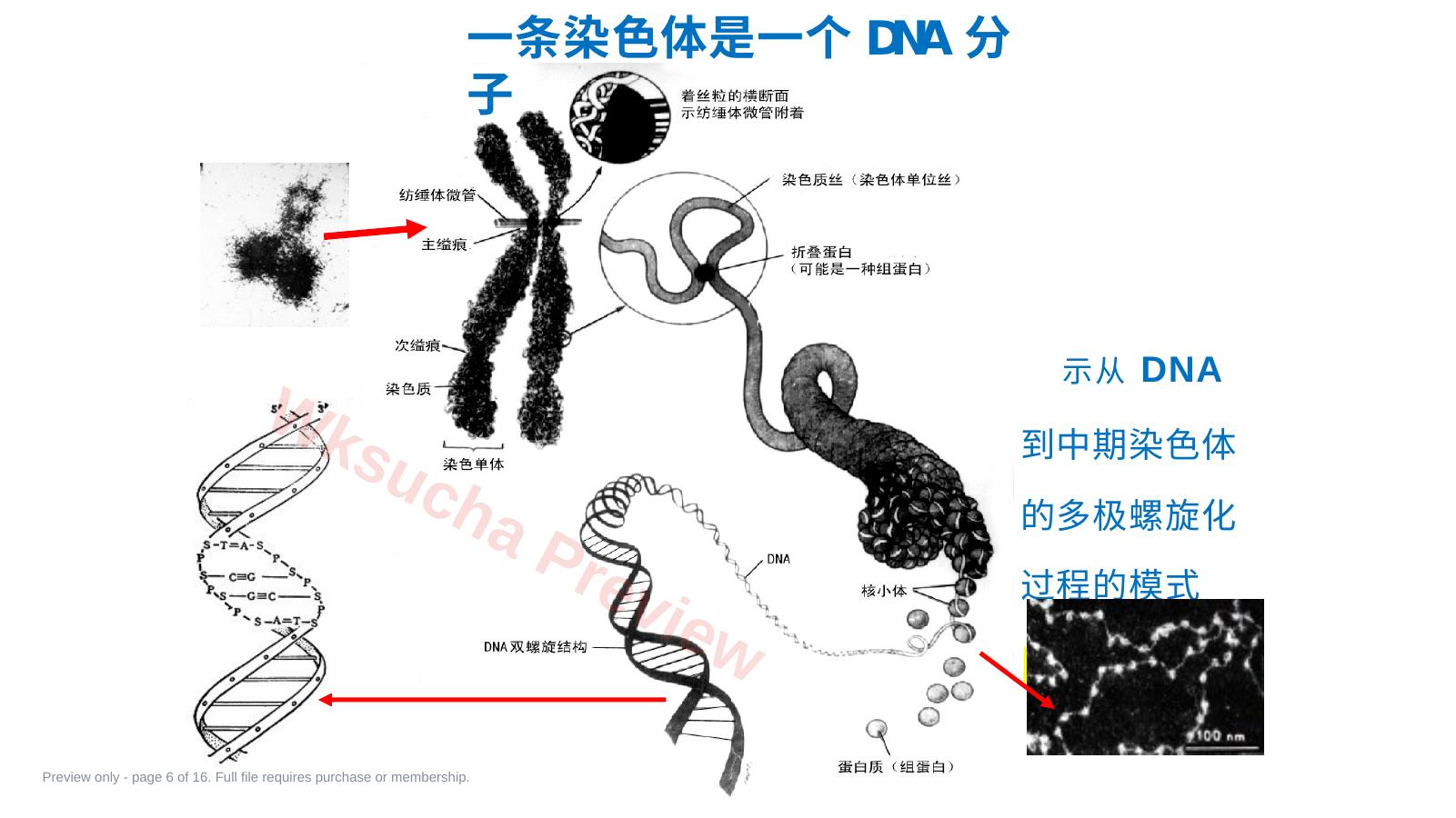 预览第 6 页