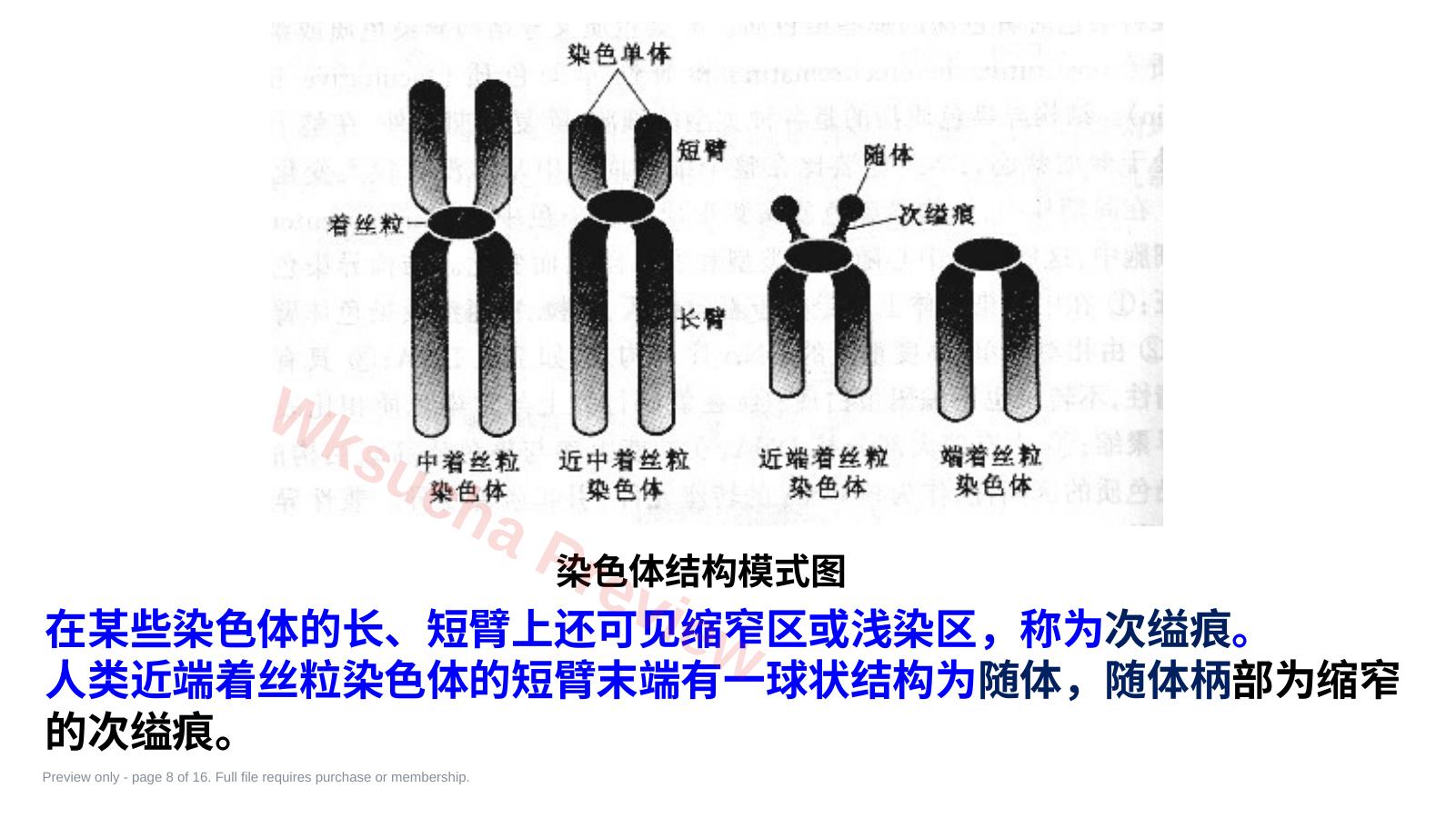 预览第 8 页