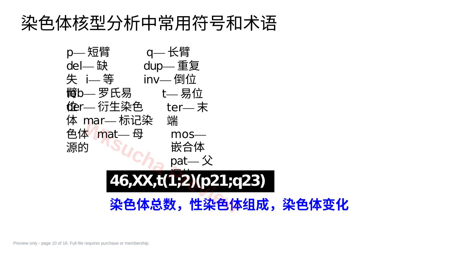 预览第 10 页