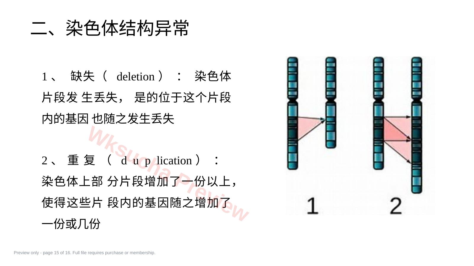 预览第 15 页