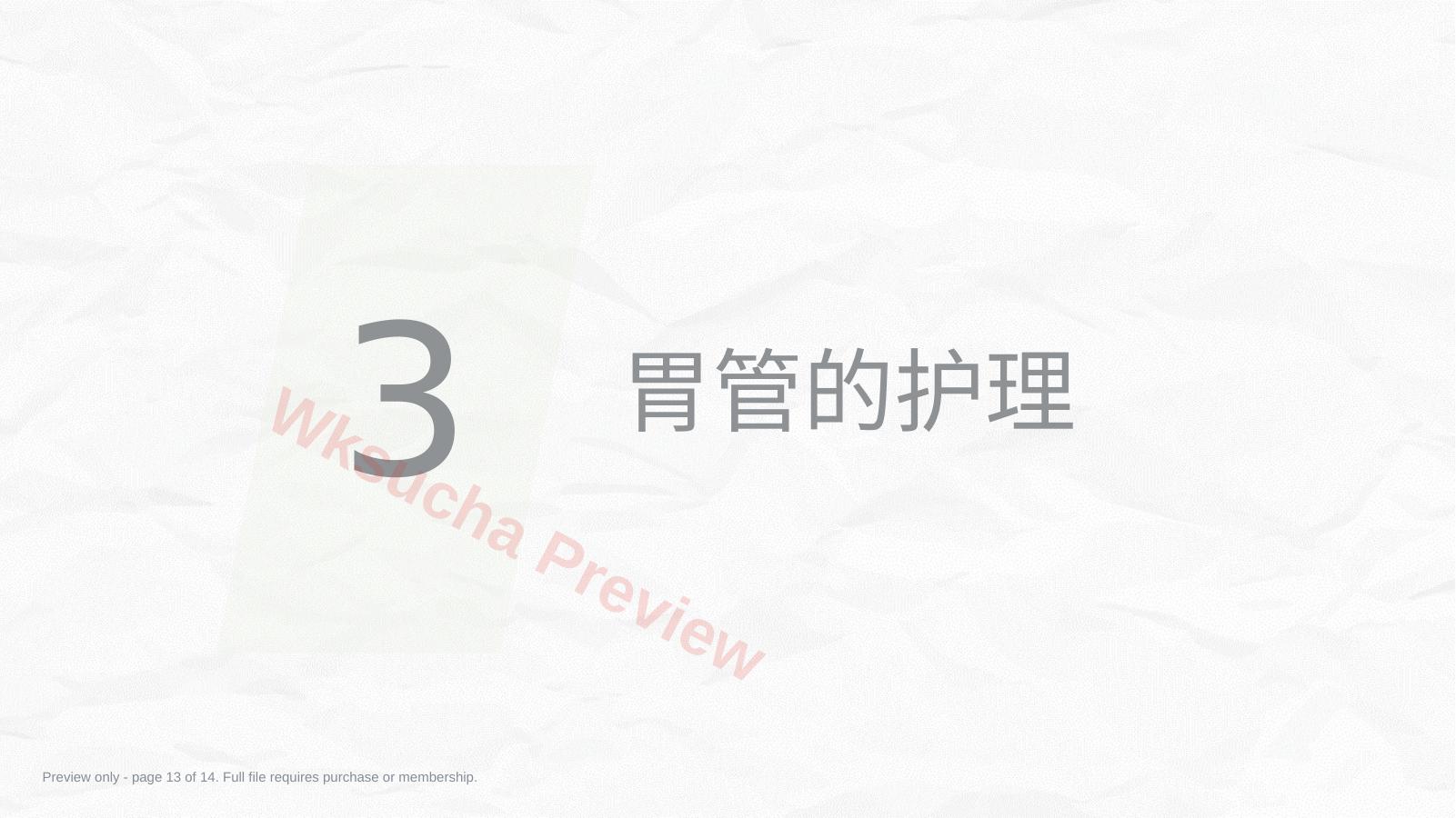 预览第 13 页