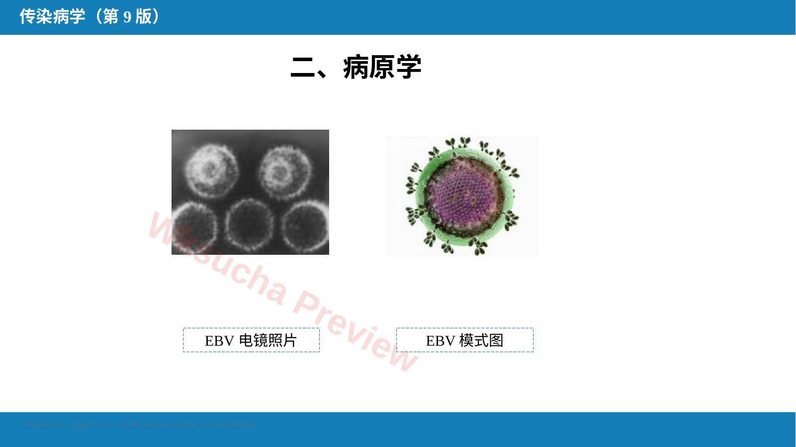 预览第 8 页